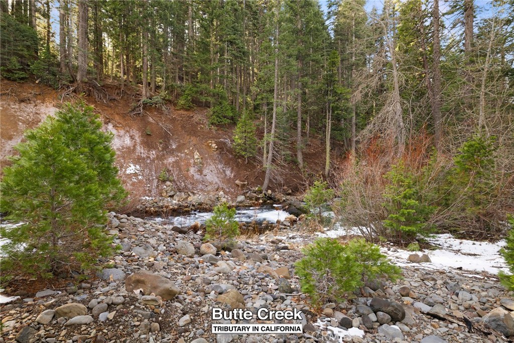 7588 Abner Lane Butte Meadows, CA 95942 - Photo 52 of 71