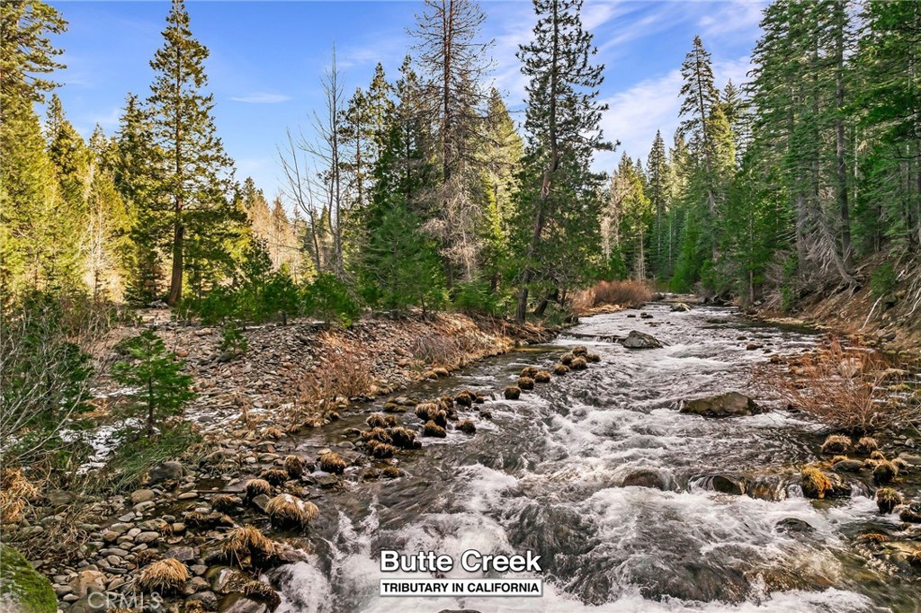 7588 Abner Lane Butte Meadows, CA 95942 - Photo 54 of 71