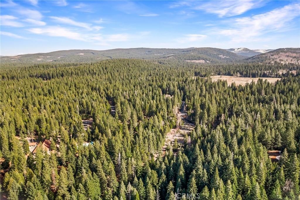 7588 Abner Lane Butte Meadows, CA 95942 - Photo 62 of 71