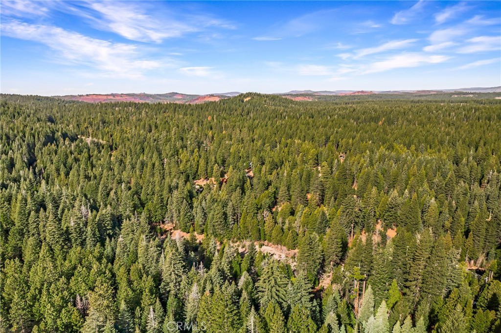 7588 Abner Lane Butte Meadows, CA 95942 - Photo 64 of 71