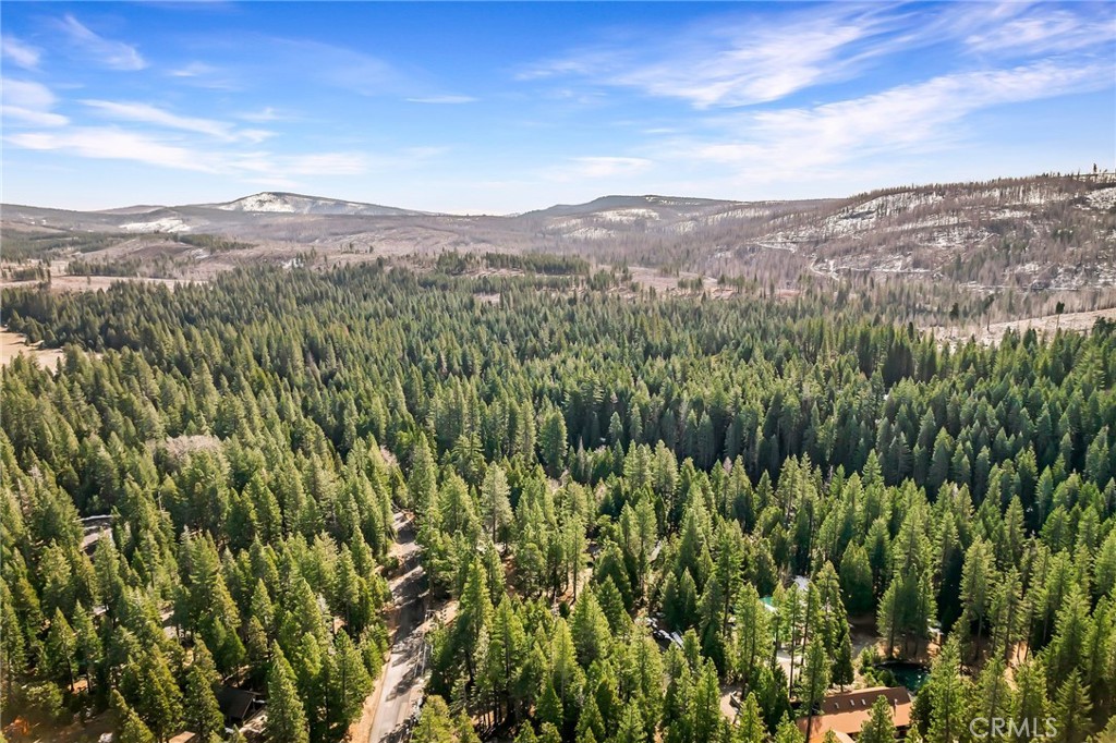 7588 Abner Lane Butte Meadows, CA 95942 - Photo 66 of 71