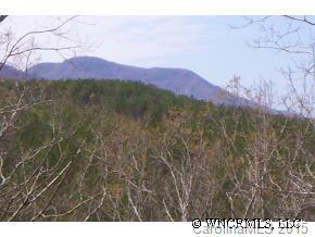 419 Wippoorwill Ln Mill Spring Mill Spring, NC 28756 - Photo 2 of 7 Gallery Image 2