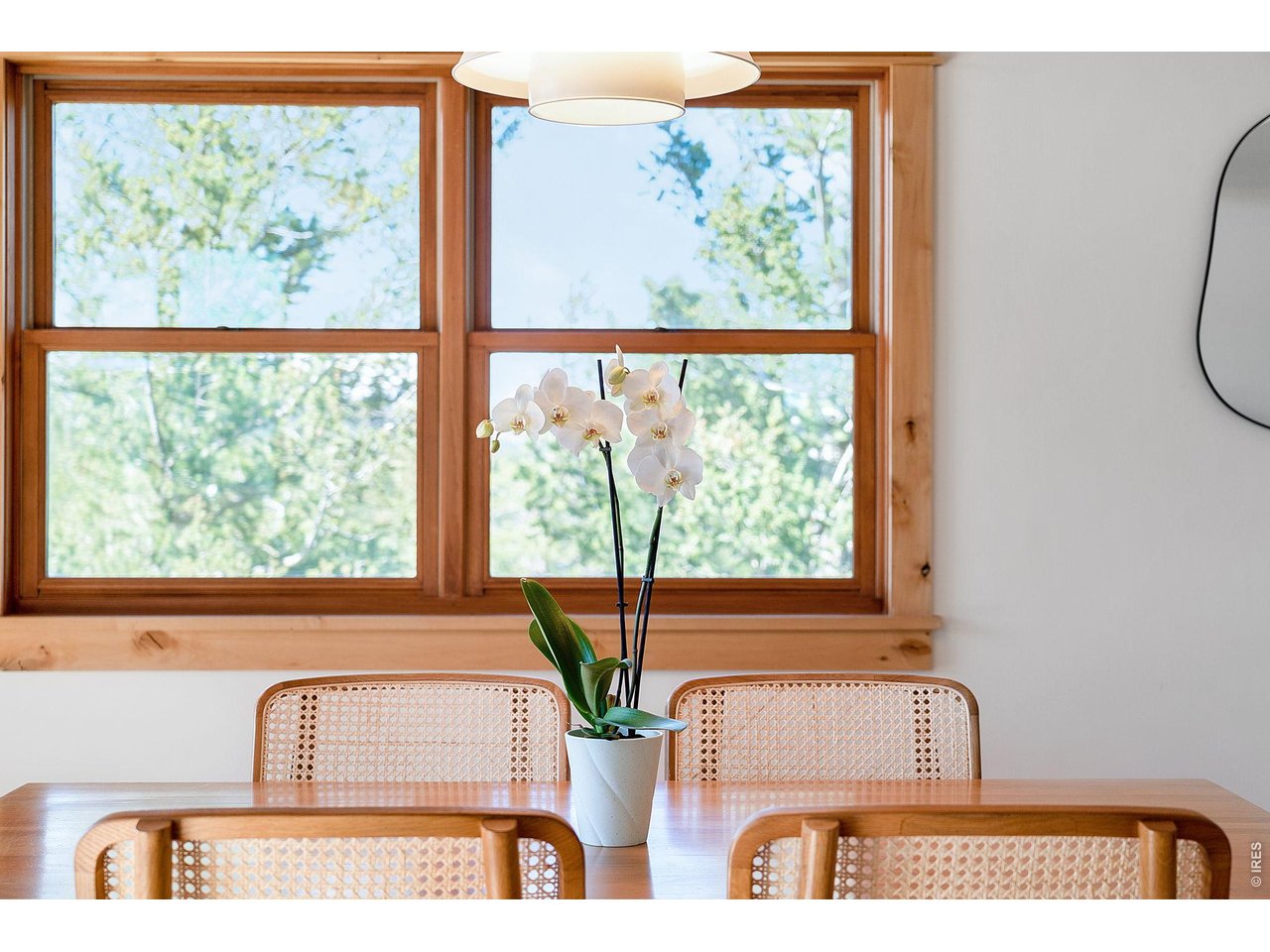 3725 Ridge Road Nederland, CO 80466 - Photo 13 of 47