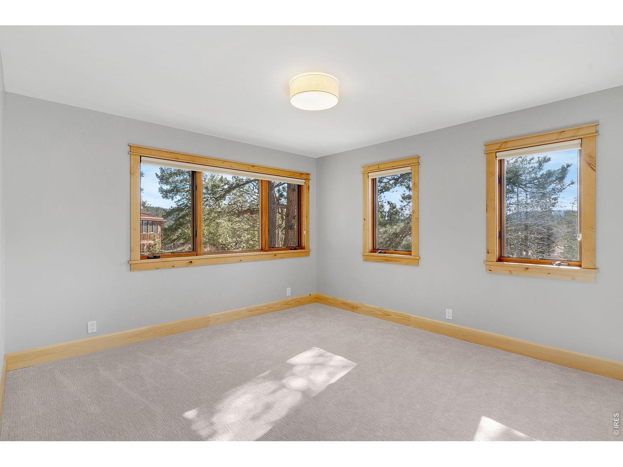 3725 Ridge Road Nederland, CO 80466 - Photo 37 of 47