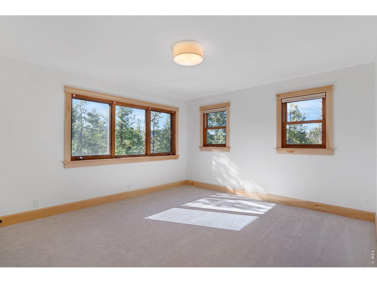 3725 Ridge Road Nederland, CO 80466 - Photo 39 of 47