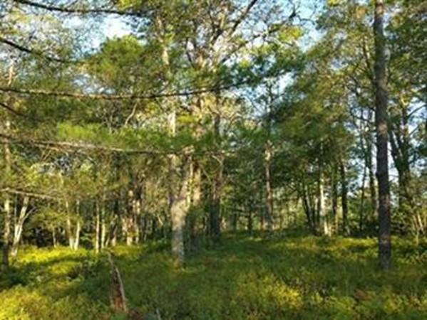 53 Roxy Cahoon Road Plymouth, MA 02360 - Photo 2 of 3 Gallery Image 2