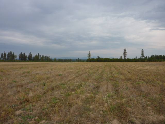 413 East Wild Rose Road Colbert, WA 99005 - Photo 1 of 5