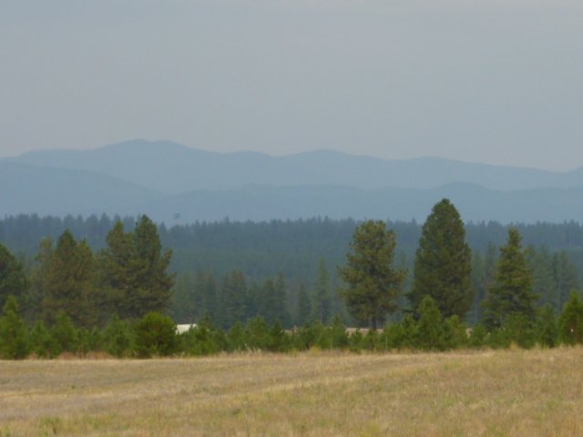 413 East Wild Rose Road Colbert, WA 99005 - Photo 2 of 5