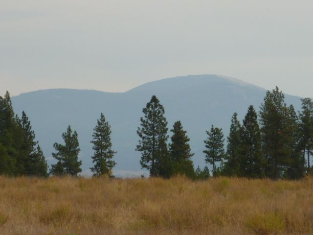 413 East Wild Rose Road Colbert, WA 99005 - Photo 3 of 5