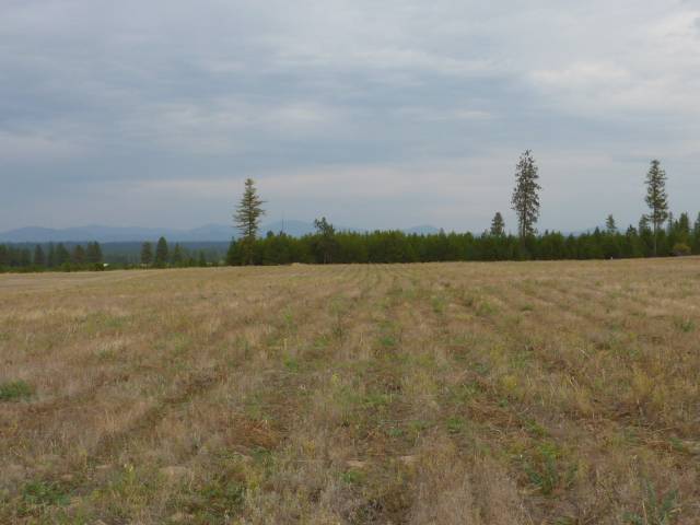413 East Wild Rose Road Colbert, WA 99005 - Photo 4 of 5
