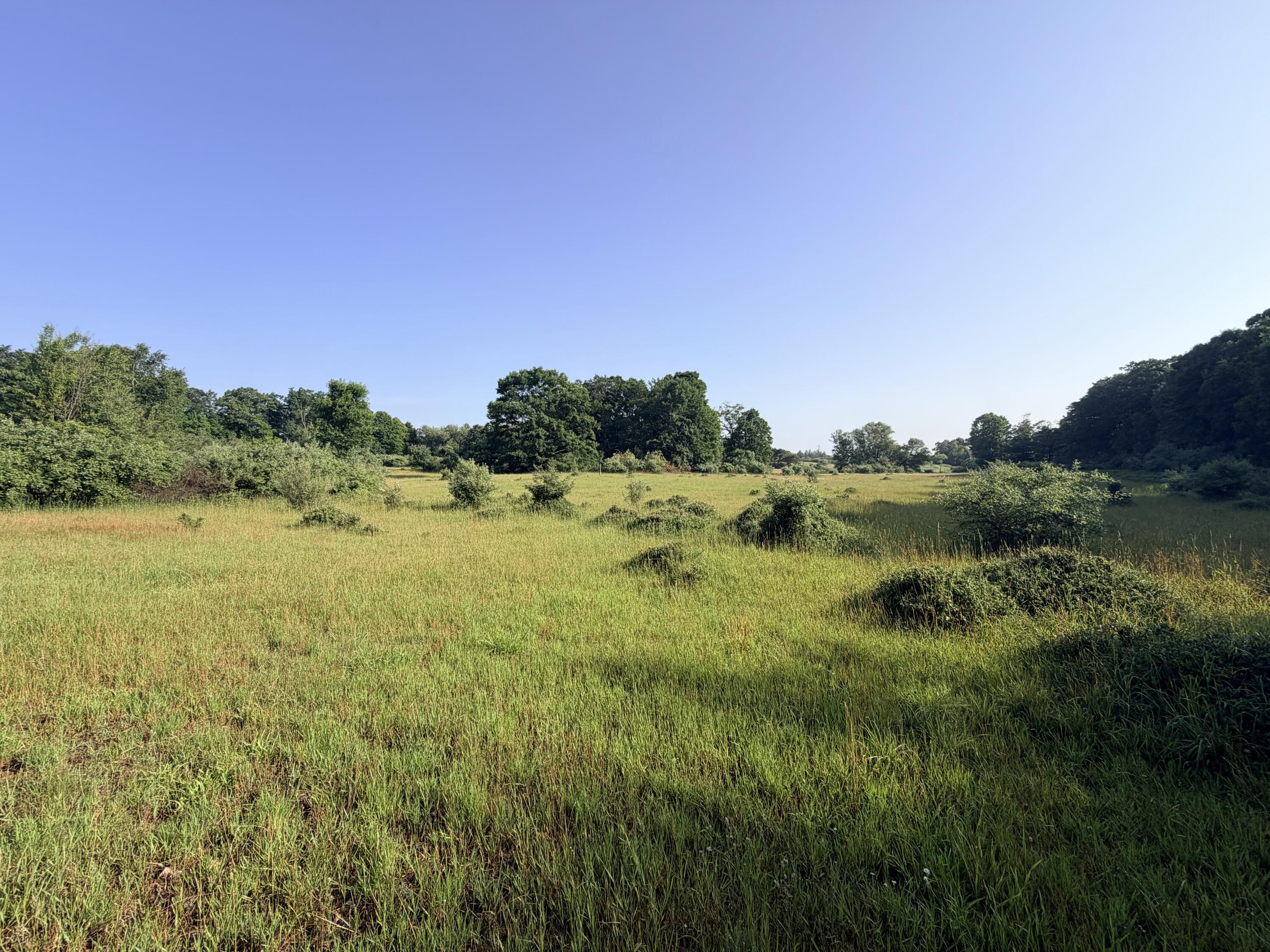 794 East Fox Farm Road Manistee, MI 49660 - Photo 22 of 31 acreage