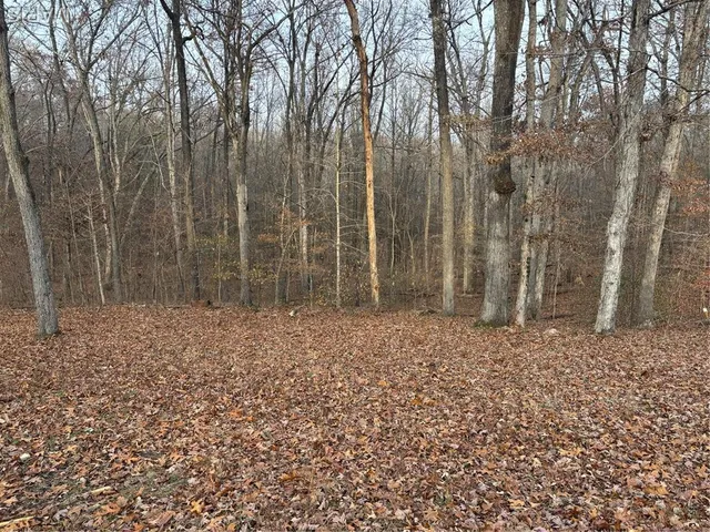 $140,000 | 4029 Wayne 546, Greenville, MO 63944