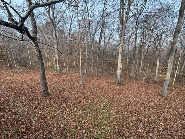 $140,000 | 4029 Wayne 546, Greenville, MO 63944