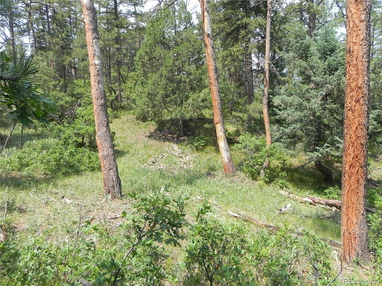 7973 Inca Road Larkspur, CO 80118 - Photo 1 of 4 Gallery Image 1