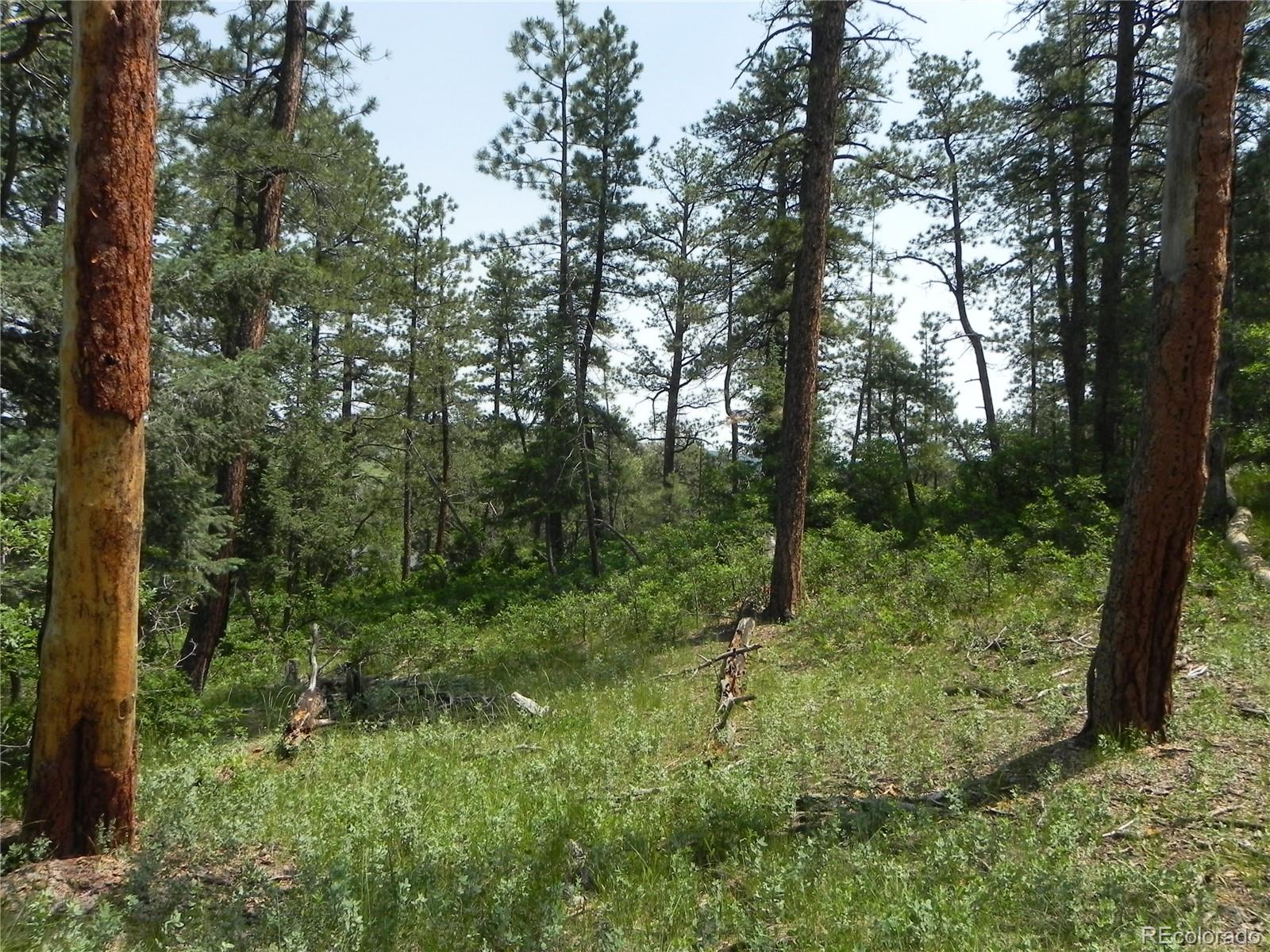 7973 Inca Road Larkspur, CO 80118 - Photo 2 of 4 Gallery Image 2