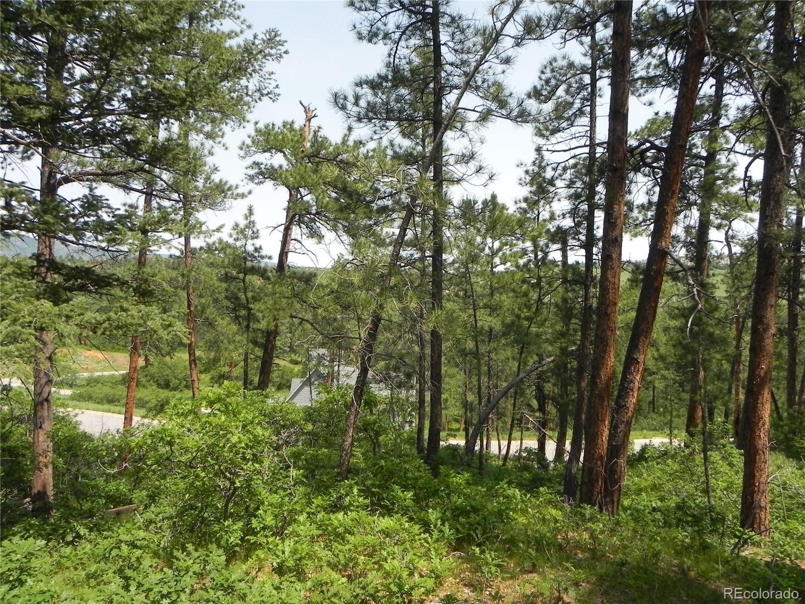 7973 Inca Road Larkspur, CO 80118 - Photo 4 of 4 Gallery Image 4