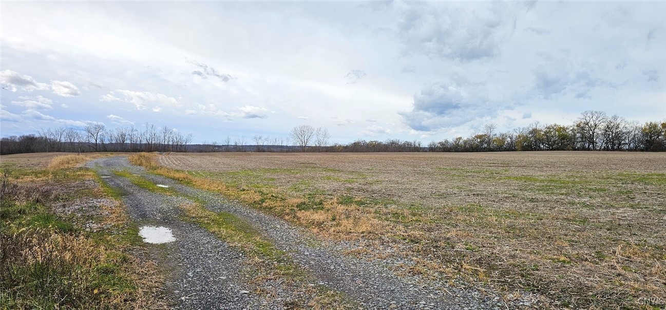 East Lake Road Geneva, NY 14456 - Photo 12 of 28