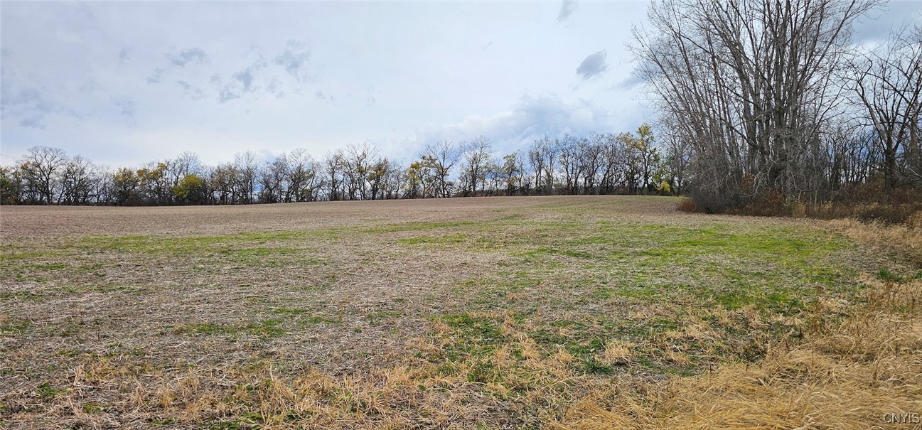 East Lake Road Geneva, NY 14456 - Photo 13 of 28