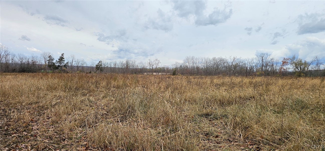 East Lake Road Geneva, NY 14456 - Photo 14 of 28