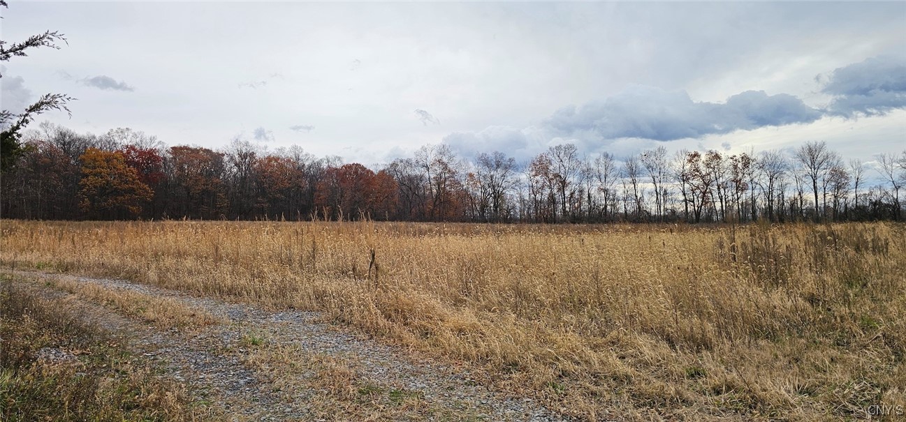 East Lake Road Geneva, NY 14456 - Photo 14 of 31
