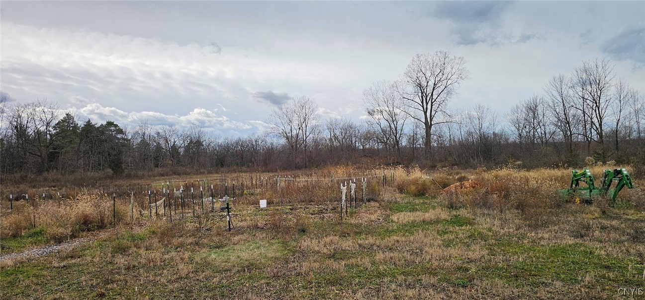 East Lake Road Geneva, NY 14456 - Photo 19 of 28