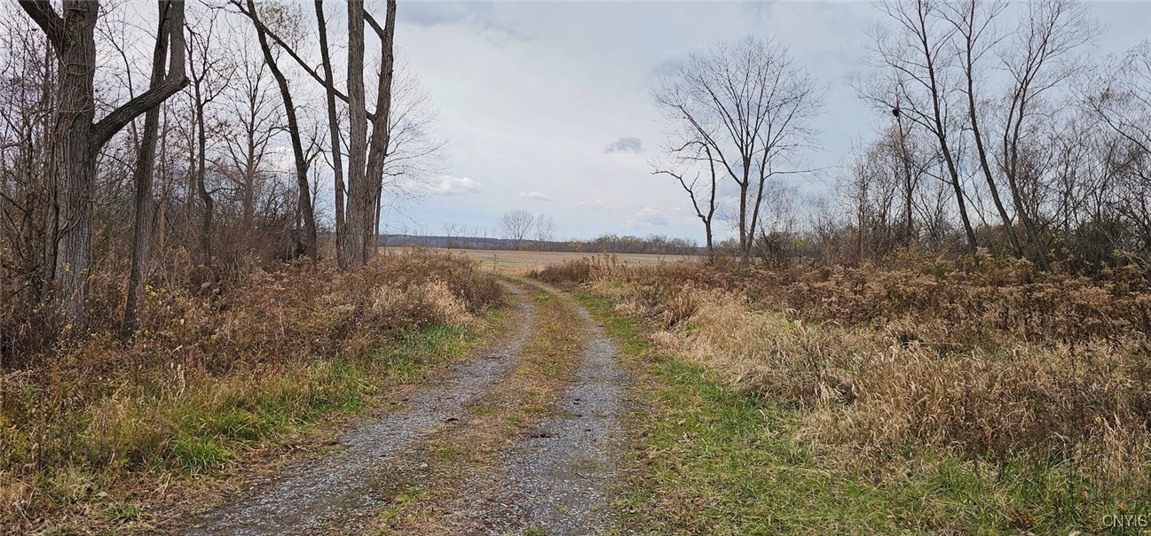 East Lake Road Geneva, NY 14456 - Photo 20 of 28