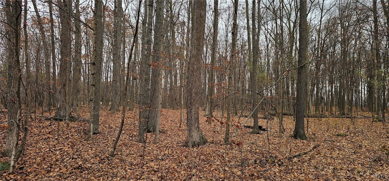 East Lake Road Geneva, NY 14456 - Photo 23 of 28