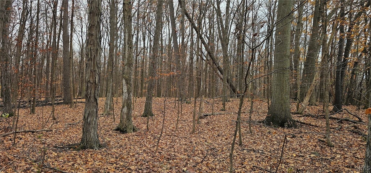 East Lake Road Geneva, NY 14456 - Photo 24 of 28