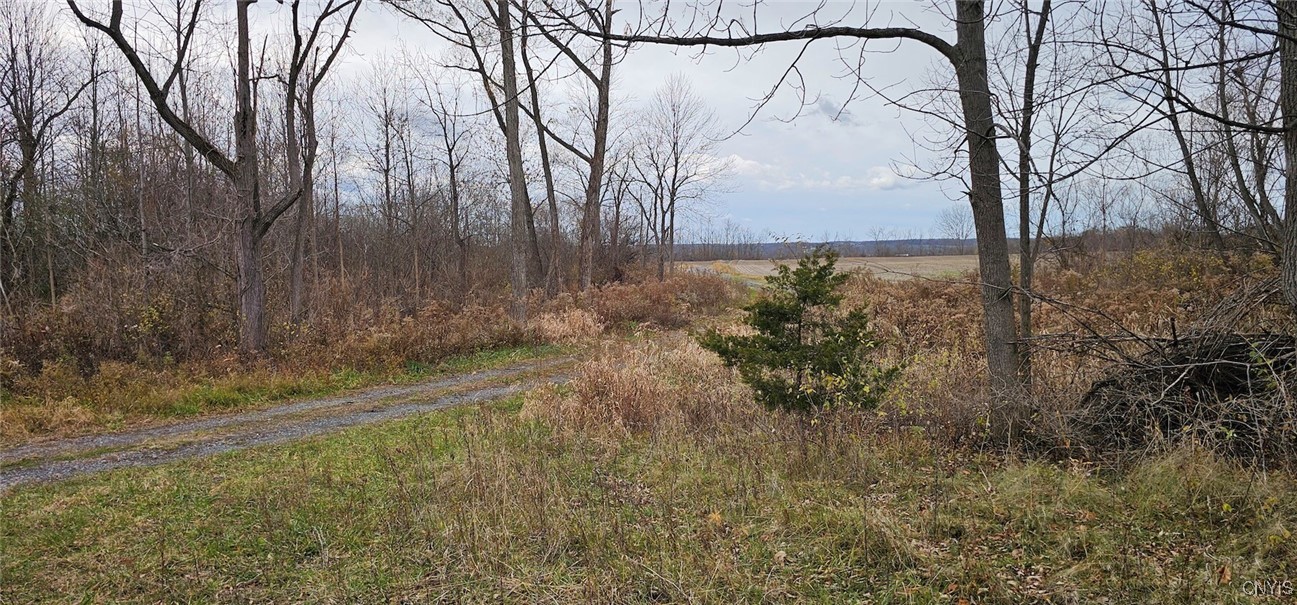 East Lake Road Geneva, NY 14456 - Photo 24 of 31