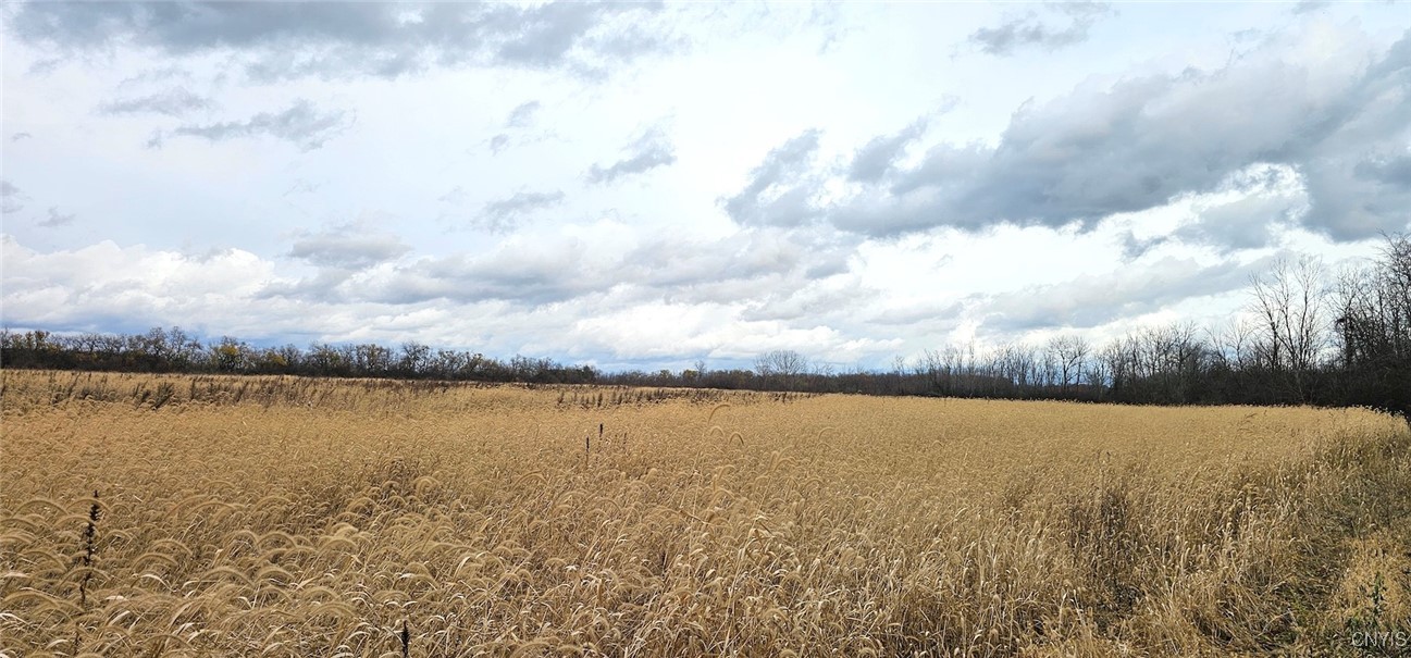 East Lake Road Geneva, NY 14456 - Photo 25 of 28