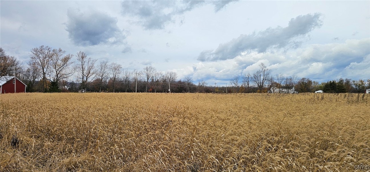 East Lake Road Geneva, NY 14456 - Photo 26 of 28