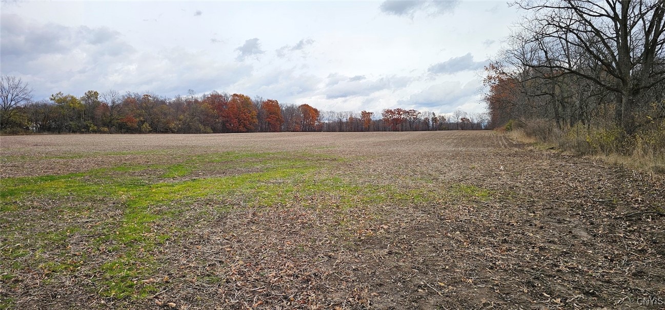 East Lake Road Geneva, NY 14456 - Photo 4 of 28