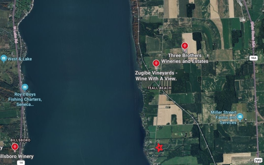 East Lake Road Geneva, NY 14456 - Photo 7 of 28