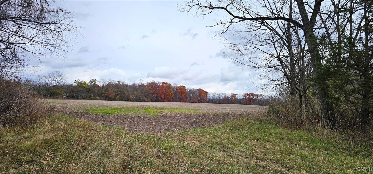 East Lake Road Geneva, NY 14456 - Photo 9 of 28