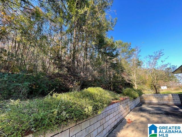 245 Highway 467 Vincent, AL 35178 - Photo 26 of 27