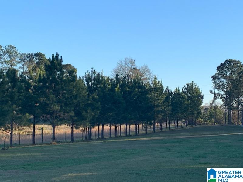 110 Old West Road, Unit 1 Thorsby, AL 35171 - Photo 4 of 4