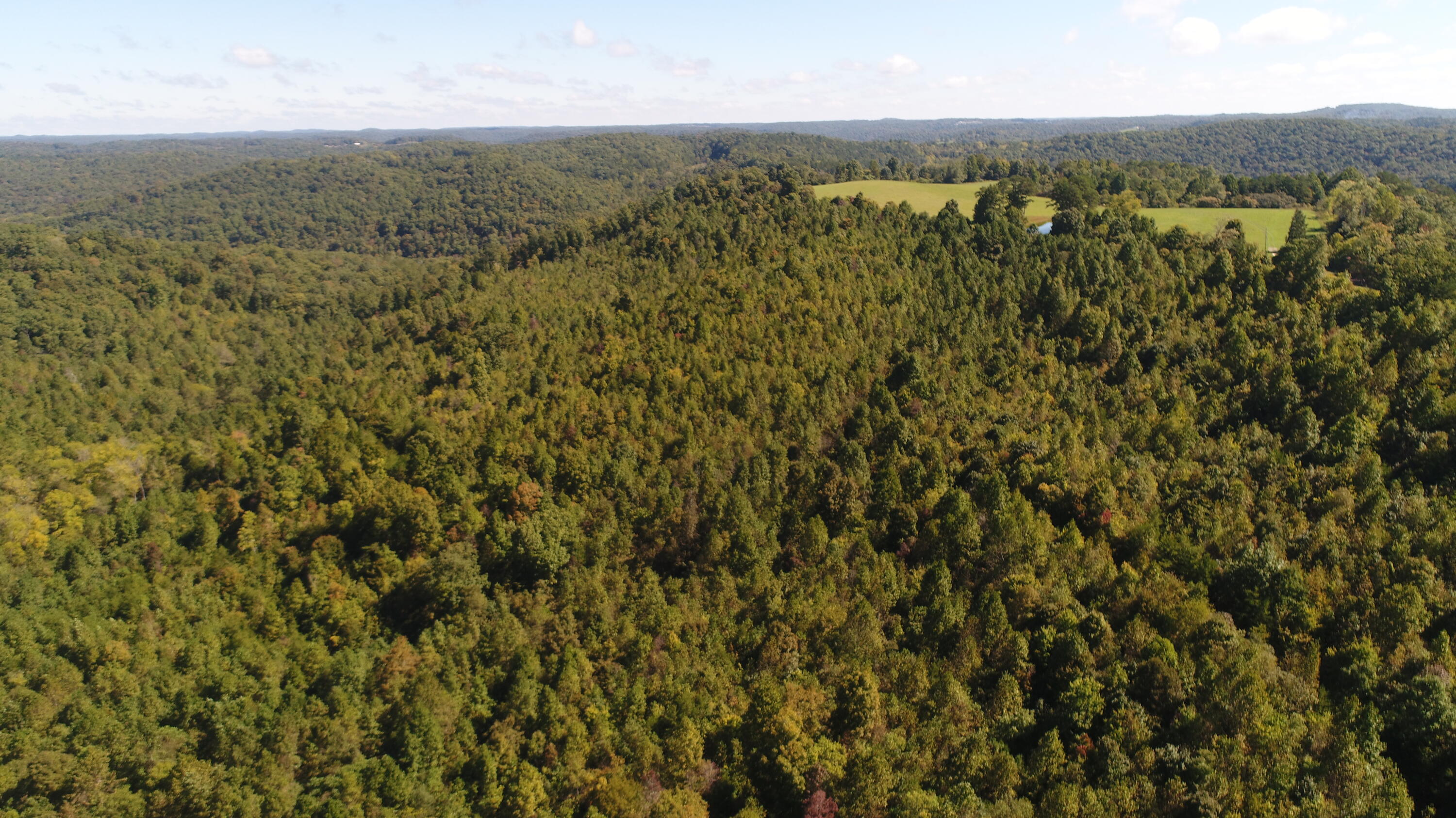 200 Wesley Chapel Road Somerset, KY 42501 - Photo 12 of 19 DJI_0565