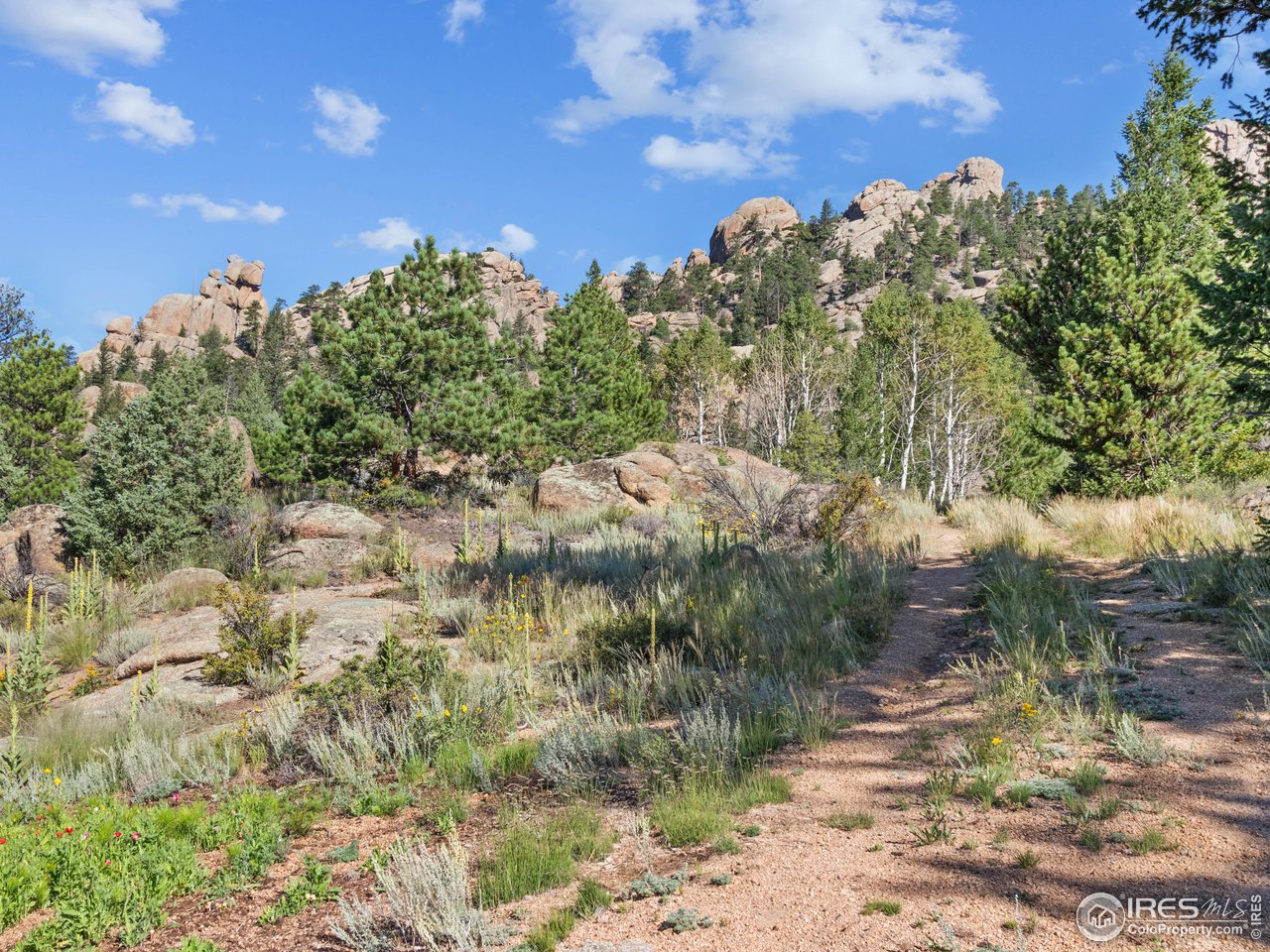 1301 Devils Gulch Road Estes Park, CO 80517 - Photo 27 of 31