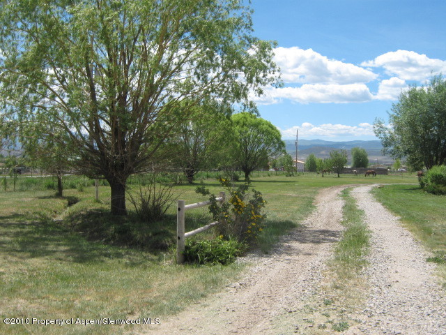 2920 County Road 233 Rifle, CO 81650 - Photo 4 of 13 a view of a park with large trees
