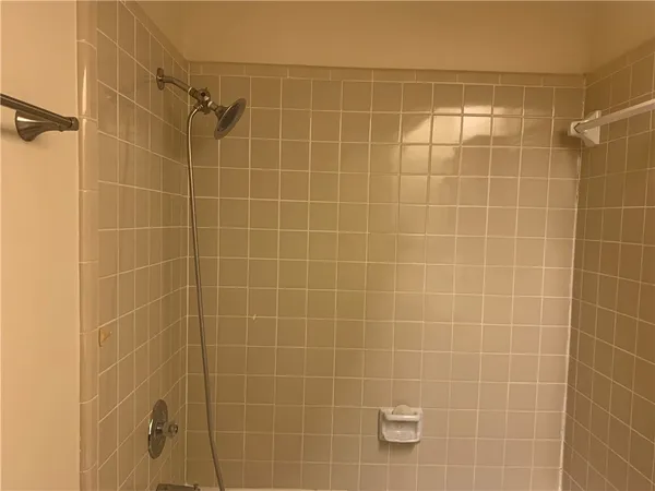 a view of a yard with a large trees and a wooden fence