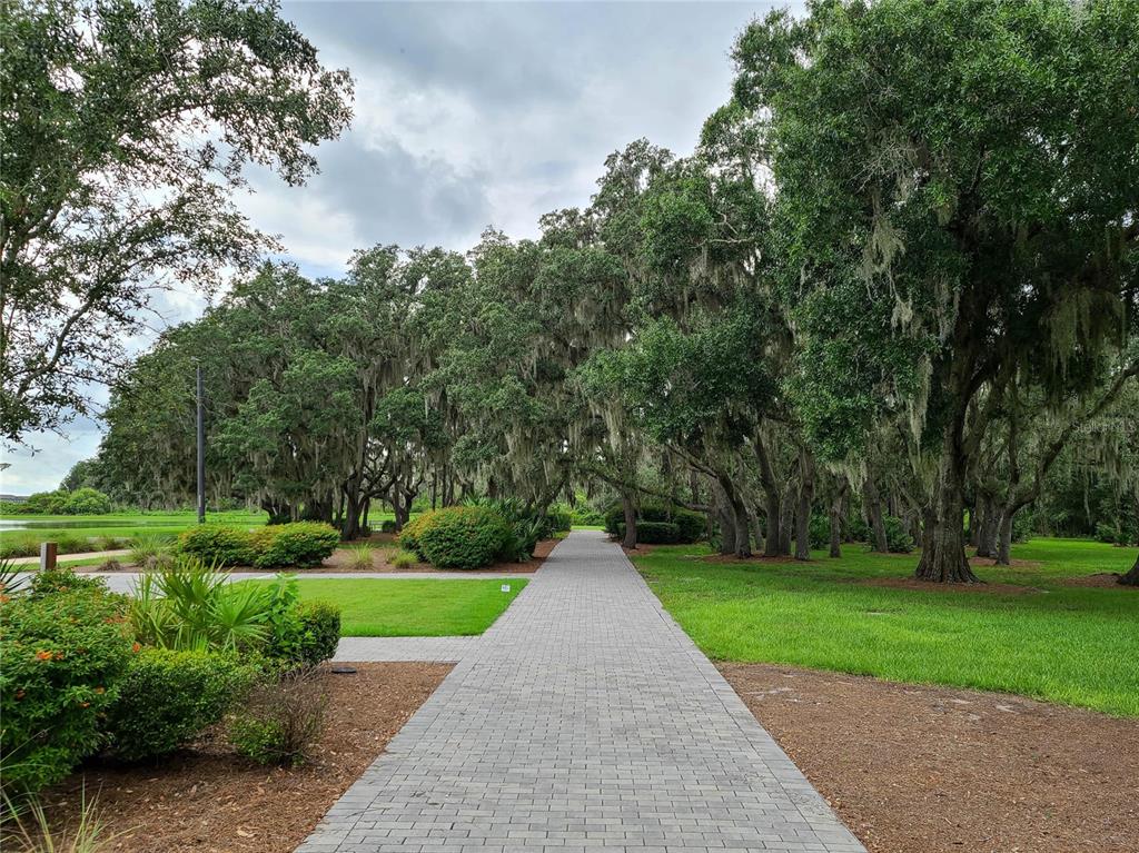 4312 Burdick Loop Odessa, FL 33556 - Photo 51 of 55 a view of a park with large trees