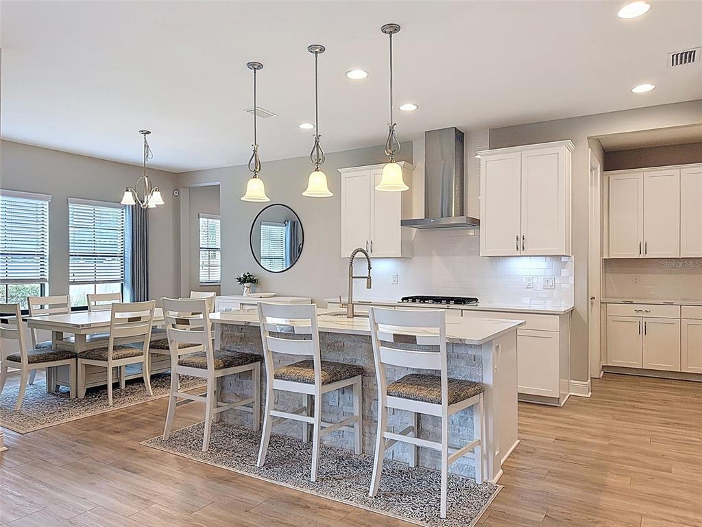 4312 Burdick Loop Odessa, FL 33556 - Photo 10 of 55