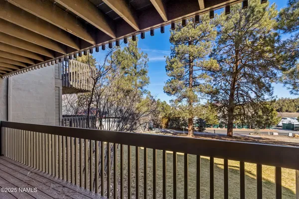 a view of road and trees