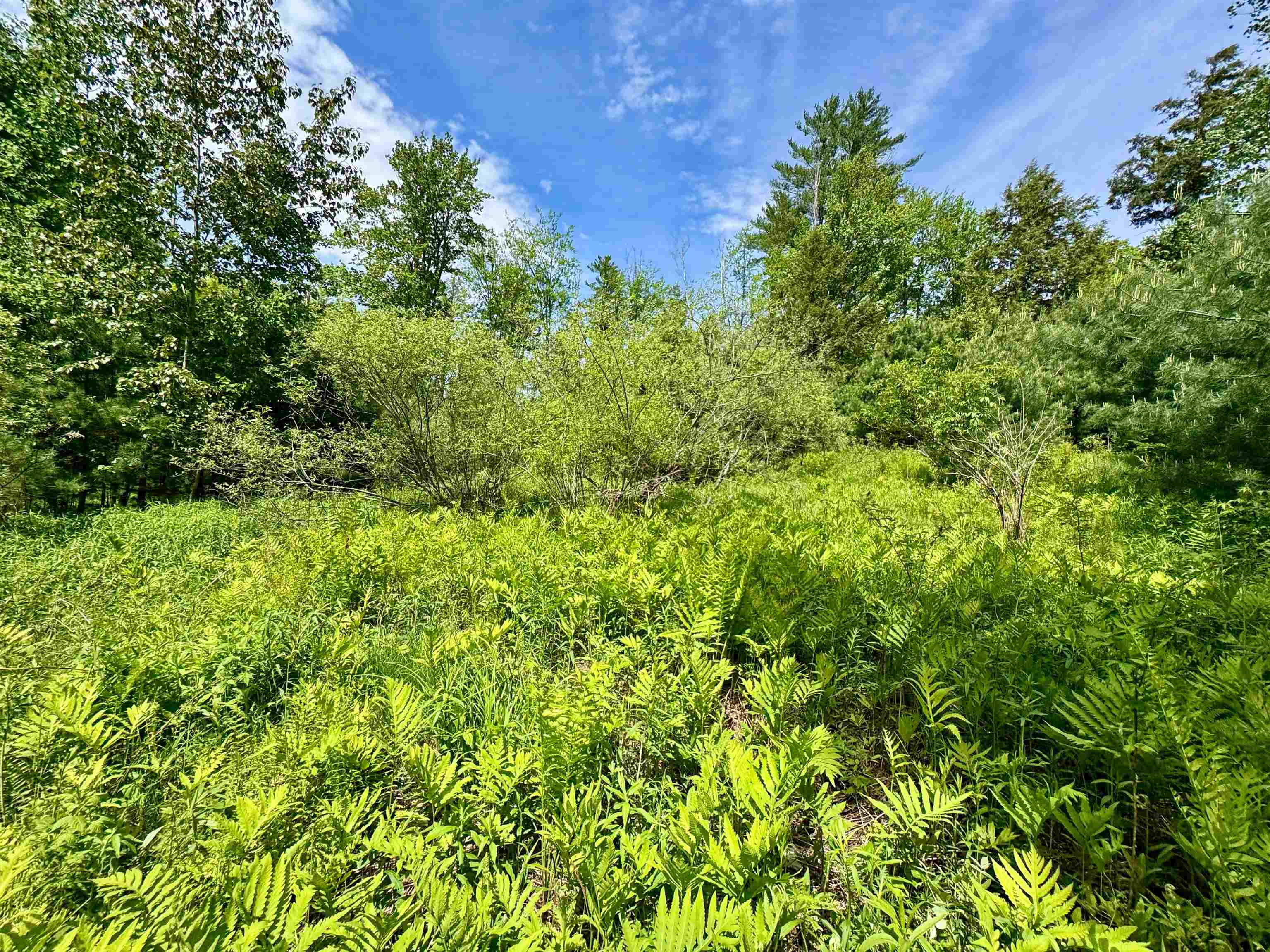 0 Mink Hill Road Bradford, VT 05033 - Photo 6 of 10