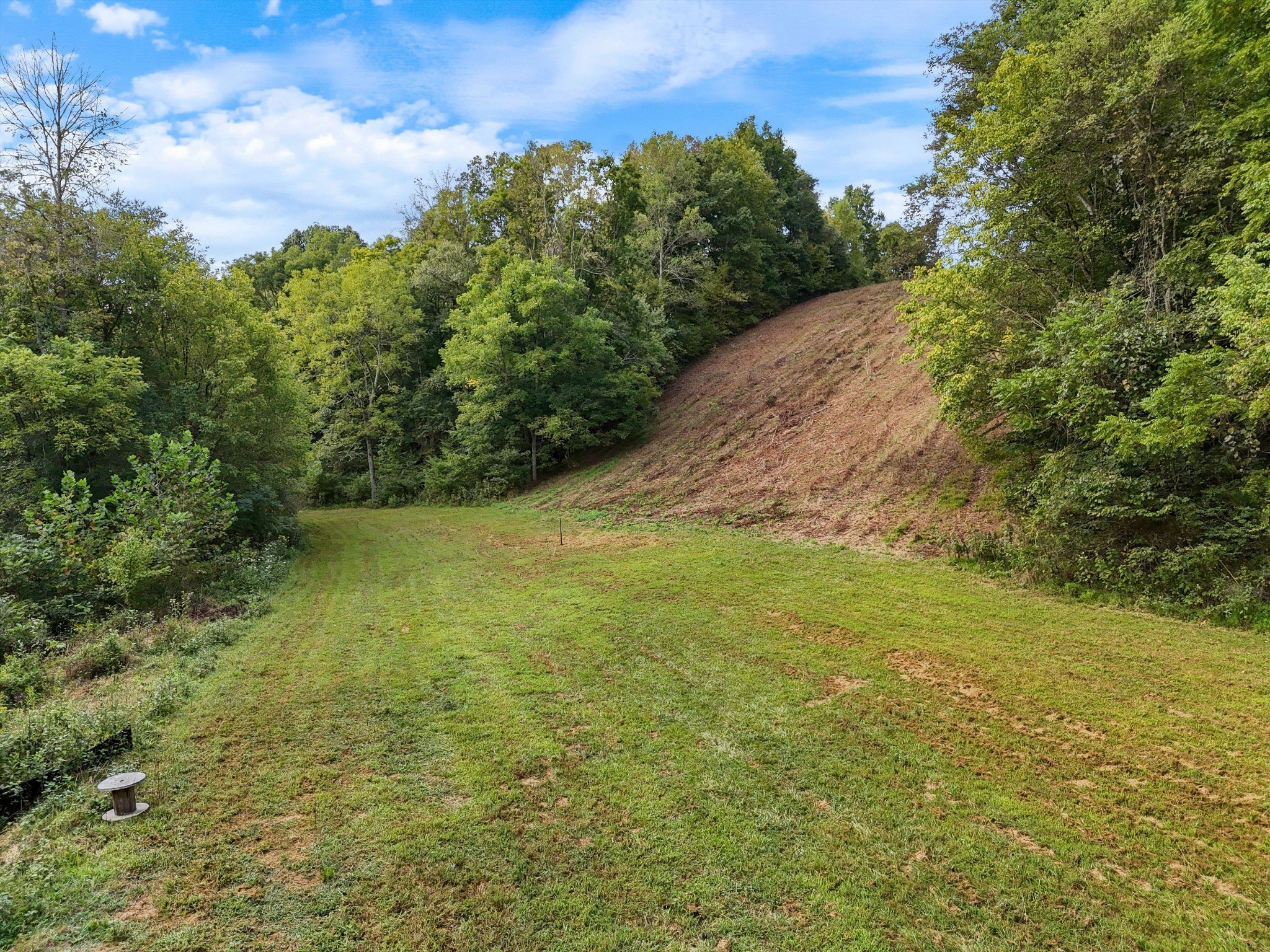1344 Cut Off Road Ethridge, TN 38456 - Photo 4 of 19
