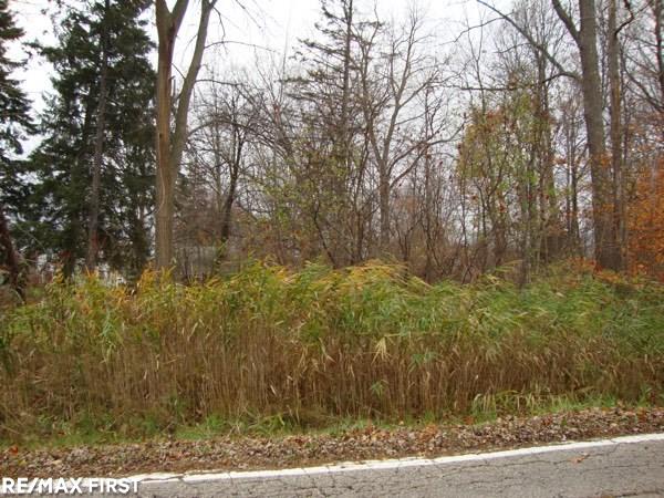 0 Union Lake Road Clinton Township, MI 48036 - Photo 2 of 3
