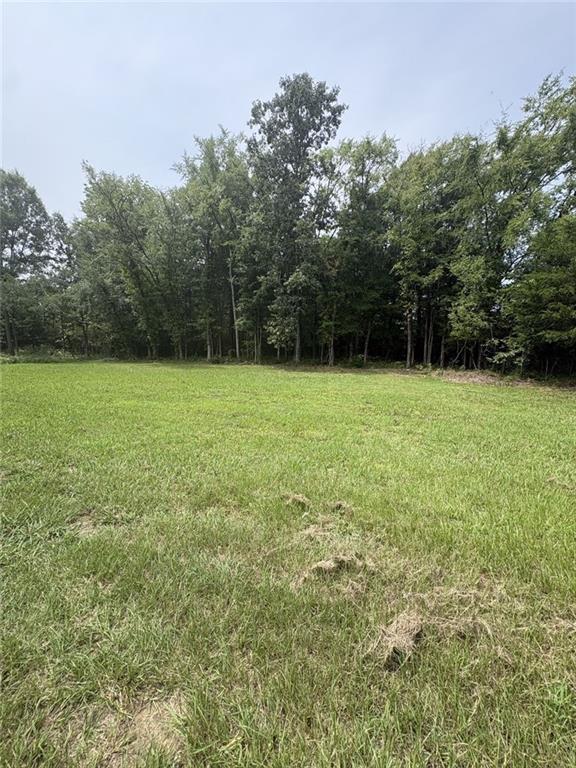 2703 Heardmont Road Elberton, GA 30635 - Photo 11 of 11 Gallery Image 11