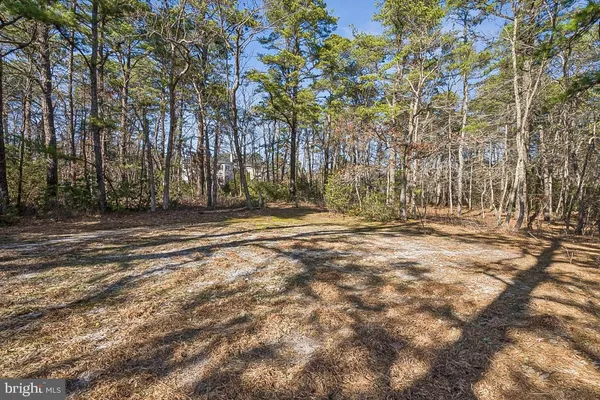 $1,500,000 | 11 Cliffswallow Drive, Medford, NJ 08055