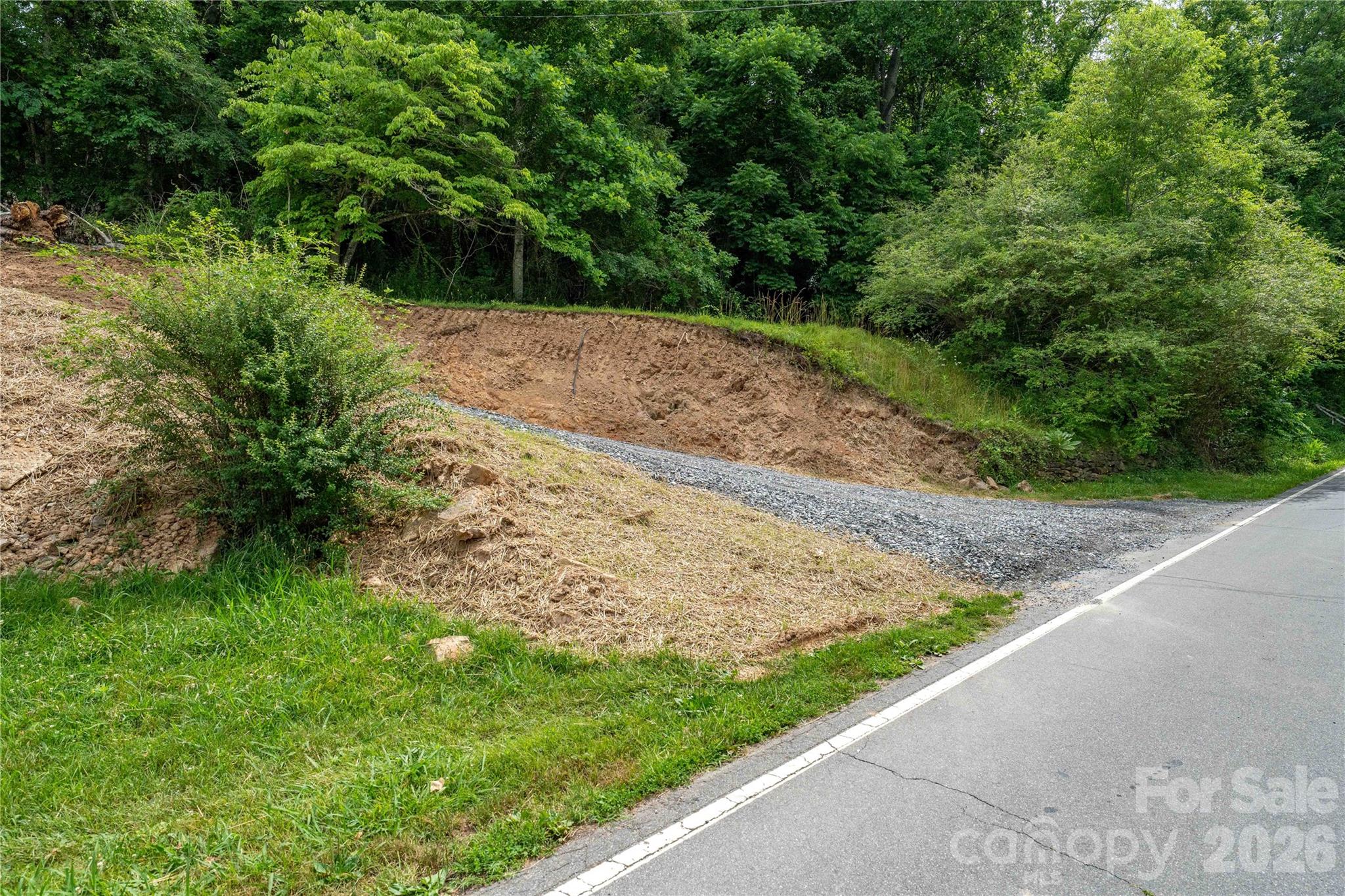 9999 Morgan Branch Road Weaverville, NC 28787 - Photo 11 of 24