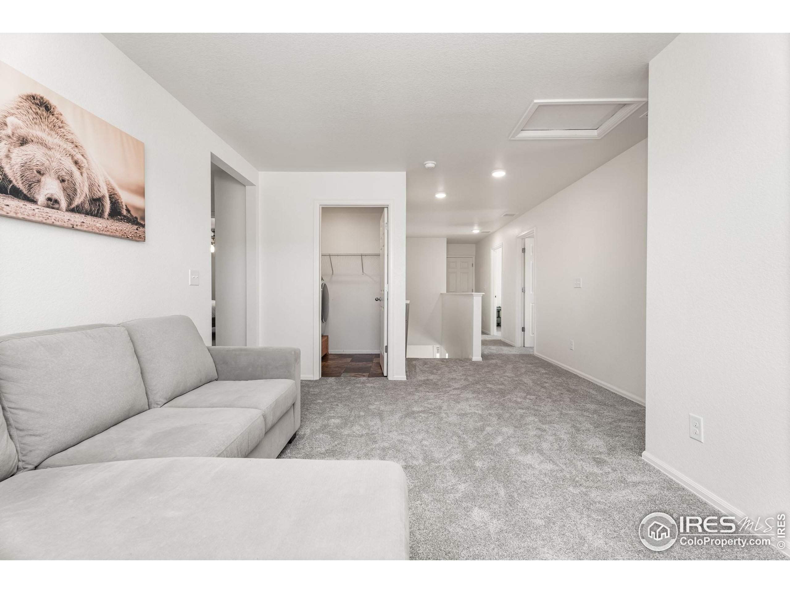 503 Buckrake Street Severance, CO 80550 - Photo 20 of 40